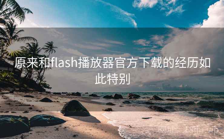 原来和flash播放器官方下载的经历如此特别