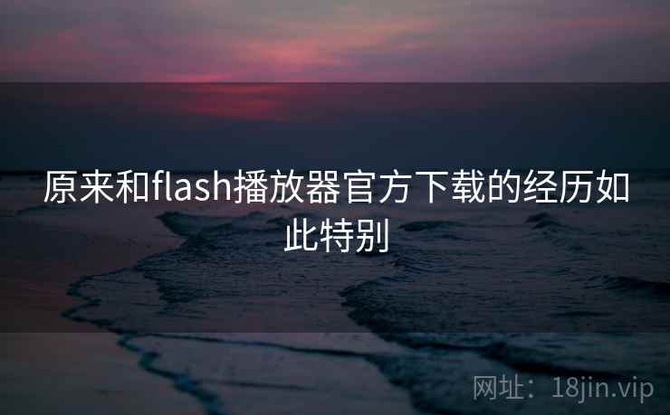 原来和flash播放器官方下载的经历如此特别
