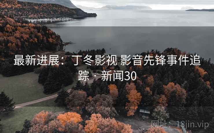 最新进展：丁冬影视 影音先锋事件追踪 · 新闻30